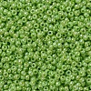 MIYUKI Round Rocailles Beads X-SEED-G007-RR0479-3