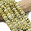Natural Yellow Turquoise(Jasper) Beads Strands G-A280-A02-01-1