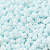6/0 Glass Seed Beads SEED-M012-01A-13-3