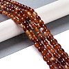 Natural Red Agate Beads Strands G-NH0011-I01-02-2