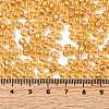 Glass Seed Beads SEED-XCP0001-33-4