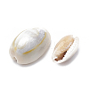 Cowrie Shell Beads X-SSHEL-T004-05-2