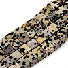 Natural Dalmatian Jasper Beads Strands G-T139-6x6-17A-4