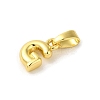 Rack Plating Brass Charms KK-C053-04G-G-2