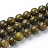 Natural Epidote Round Beads Strands G-L383-07-8mm-1