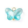 Transparent Glass Charms PALLOY-JF01734-2