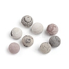 Natural Petrified Wood Beads G-I274-10-1