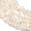 Natural Cultured Freshwater Pearl Beads Strands PA-CBABE82-02A-3