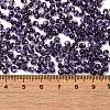 Transparent Colours Glass Seed Beads SEED-P006-02A-12-4