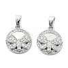 Brass Micro Pave Cubic Zirconia Charms KK-L222-017P-1