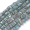 Electroplate Glass Beads Strands EGLA-L023A-FR02-1