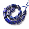 Natural Lapis Lazuli Beads Strands X-G-S345-8x11-002-2