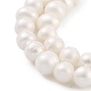 Natural Cultured Freshwater Pearl Beads Strands PEAR-C003-12E-4