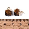Natural Tiger Eye Pendants G-N359-18G-03-3