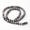 Frosted Round Natural Map Stone/Picasso Stone/Picasso Jasper Bead Strands G-J346-04-6mm-2