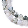 Natural Tree Agate Beads Strands X-G-L533-22-2