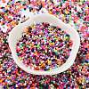 Baking Paint Glass Seed Beads X-SEED-S042-05B-48-2