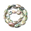 Natural Paua Shell Beads Strands SHEL-F006-03-2