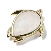 Natural Quartz Crystal Pendants G-U019-02G-01-2