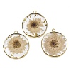 Transparent Clear Epoxy Resin Pendants RESI-XCP0002-33-1