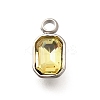 304 Stainless Steel Pendants STAS-Q346-03P-07-1