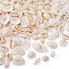 DIY Natural Shell Jewelry Making Finding Kits DIY-BT0001-37-2