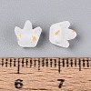 Frosted Transparent Acrylic Beads FACR-T009-01J-4