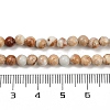Dyed Natural Regalite/Imperial Jasper/Sea Sediment Jasper Beads Strands G-B124-C04-11-4
