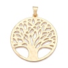 Plating Alloy Big Pendants PALLOY-T090-14G-1