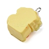 Opaque Resin Imitation Food Pendants LS-CRES-M030-06E-2