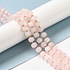 Natural Rose Quartz Beads Strands G-P508-A18-01-2