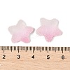 Imitation Candy Food Style Resin Cabochons X1-RESI-R461-02K-3