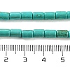 Synthetic Turquoise Beads Strands TURQ-G120-4x6mm-13-3