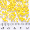 6/0 Baking Paint Glass Round Seed Beads SEED-S036-01C-05-3
