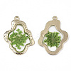 Epoxy Resin Pendants X-RESI-T045-028B-3