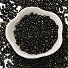 Spray Painted Glass Seed Beads SEED-F005-08A-03-2