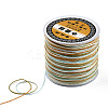 Segment Dyed Nylon Braided Cord NWIR-N016-01D-3