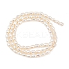 Natural Cultured Freshwater Pearl Beads Strands PEAR-F020-17-3