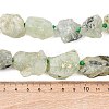 Raw Rough Natural Prehnite Beads Strands G-P528-A05-01A-3