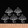 Transparent Acrylic Pendants TACR-T024-01B-205-4