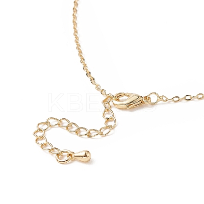 Teardrop Glass Pendant Necklace NJEW-JN04231-1