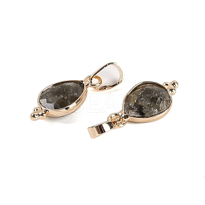 Natural Labradorite Faceted Pendans KK-L218-004G-02-1