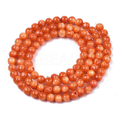 Natural Freshwater Shell Beads Strands X-SHEL-N003-24-B06-1