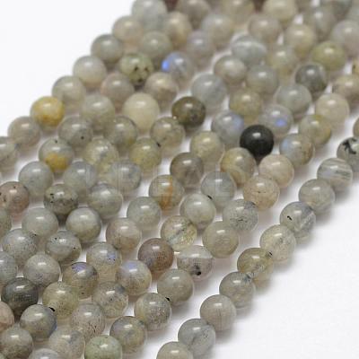 Natural Labradorite Beads Strands G-P322-29-4mm-1