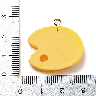 Opaque Resin Pendants LS-FIND-M012-01A-1