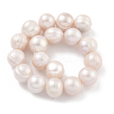 Natural Cultured Freshwater Pearl Beads Strands PEAR-C003-21E-1