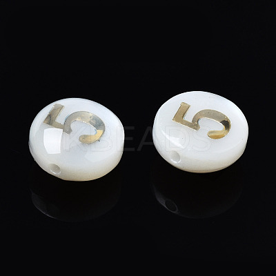 Natural Freshwater Shell Beads SHEL-N003-20-05-1