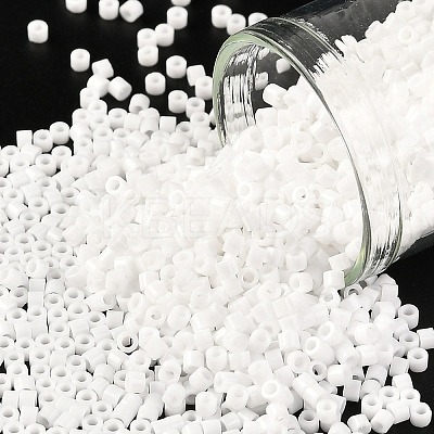 Cylinder Seed Beads X-SEED-H001-H24-1