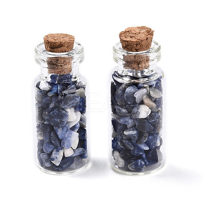 Glass Wishing Bottle Display Decorations AJEW-T013-02D-1