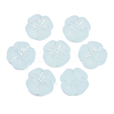 Frosted Transparent Acrylic Beads OACR-P029-19B-06-1